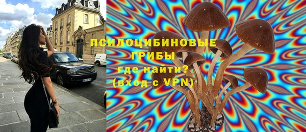 а пвп мука Болотное