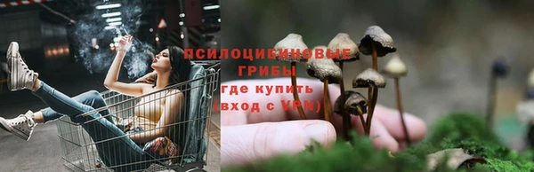 ALPHA PVP Беломорск