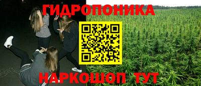 соль курить ск Гатчина