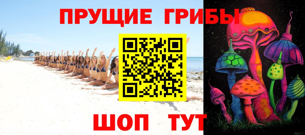 Псилоцибиновые грибы GOLDEN TEACHER  как найти наркотики  Вход с VPN  Зерноград  Псилоцибиновые грибы Magic Shrooms 